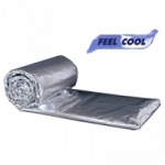 ฉนวนกันความเย็น (Cold Insulation) FEEL COOL - โรงงานผู้ผลิตฉนวนกันความร้อน ฉนวนสำหรับอุตสาหกรรม บริษัท เบย์ คอร์ปอเรชั่น จำกัด