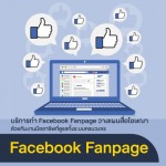 Facebook Fanpage - รับทำเว็บไซต์  SEO การตลาดออนไลน์