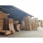 โรงงานผลิตไม้พาเลท - พาเลทไม้-โบนัส ซัพพลาย