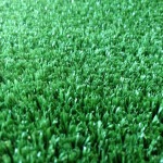 หญ้าปูสนามฟุตบอล - ห้างหุ้นส่วนสามัญ บีบิ๊กล๊อต 