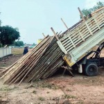 ขายส่งไม้ยูคา ชลบุรี - ไม้ยูคา ไม้แบบก่อสร้าง ชลบุรี