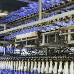 ออกแบบเครื่องจักรผลิตถุงมือยางไนไตร - บริษัทรับออกแบบ ติดตั้งเครื่องจักรโรงงานอุตสาหกรรม - เอ็นพีพี โปรดักชั่น