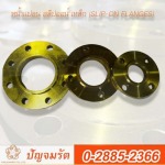 ขายส่งหน้าแปลน สลิปออน เหล็ก (Slip-on Flanges) - หน้าแปลนเหล็ก ปัญจมรัต