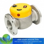 automatic safety shut-off valve - บริษัท แวนเทจ พาวเวอร์ จำกัด