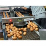 เครื่องคัดไข่ไก่ - ผลิตและจำหน่ายเครื่องคัดไข่ - LPN