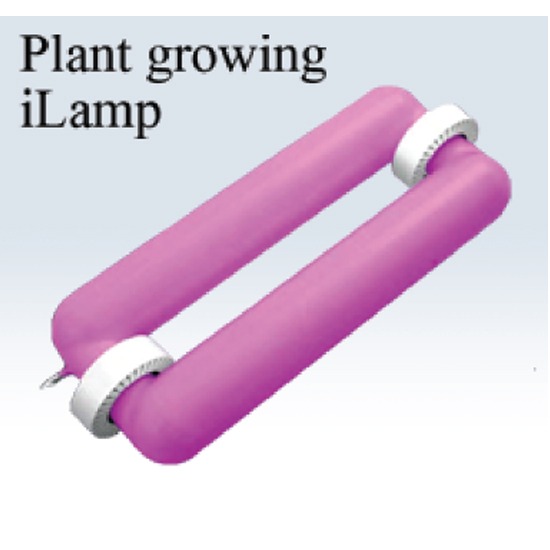 Plant growing iLamp Plant growing iLamp 