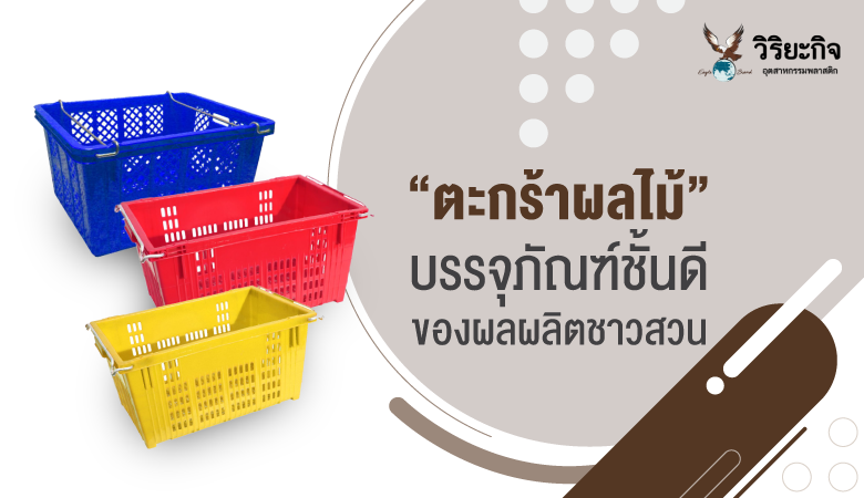 ตะกร้าผลไม้