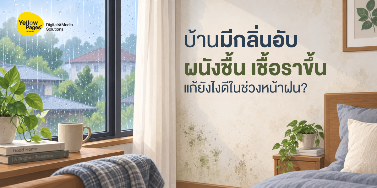 บ้านมีปัญหาผนังชื้น กลิ่นอับ และเชื้อราในช่วงหน้าฝน