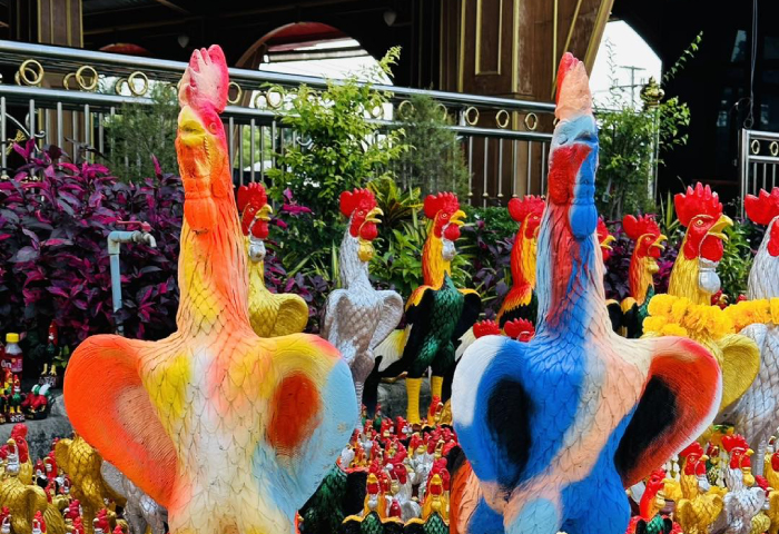 ร้านขายของไหว้แก้บนไอ้ไข่วัดเจดีย์ - โกจุย ร้านขายของไหว้แก้บนไอ้ไข่วัดเจดีย์ - โกจุย