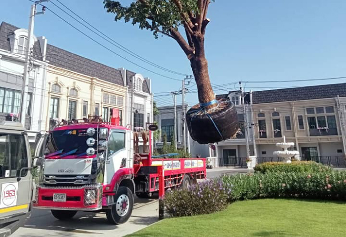 เอ แอนด์ เอ เครน ให้เช่ารถเครน เช่ารถกระเช้า เช่ารถเฮี้ยบ เอ แอนด์ เอ เครน ให้เช่ารถเครน เช่ารถกระเช้า เช่ารถเฮี้ยบ