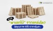 พาเลทไม้