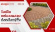 บล็อกปูพื้น
