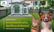 บ้านสัตว์เลี้ยง