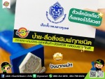 ร้านป้ายโฆษณา พิษณุโลก กรีนอาร์ตโฆษณา