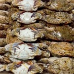 ขายส่งอาหารทะเลแช่แข็งระยอง - อภิวงศ์ อินเตอร์ฟู้ดส์