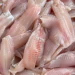 ขายส่งอาหารทะเลแช่แข็งระยอง - อภิวงศ์ อินเตอร์ฟู้ดส์