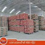 โกดังปูนซีเมนต์ ร้อยเอ็ด - บริษัท เดอะเฮ้าส์ 168 กรุ๊ป จำกัด (เสลภูมิค้าไม้)