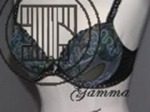 Gamma Industries Co., Ltd.