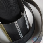 Poly Belts Tech Co., Ltd.