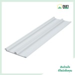 Thai Plast Wood Co Ltd