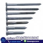 Ti Meng Screw Part., Ltd.