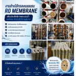 Dyna Fluid Co., Ltd.