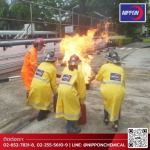 รับอบรมดับเพลิง - รับอบรมดับเพลิง ฝึกซ้อมหนีไฟ - นิปปอน