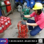 Nippon Chemical Co., Ltd.