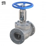 จำหน่าย Lewis Pump & Valves - นำเข้าและจำหน่ายเครื่องมืออุตสาหกรรม เจ เอส มัลติเทค