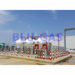 Blu-Gas Co Ltd