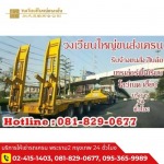 Wongwianyai Trnstn LP