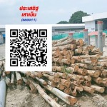 Prasert Piling Klong 11