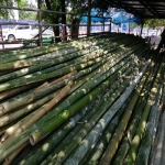 Bamboo Ramintra KM.8