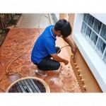 Hans Pest Control Service Co Ltd