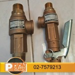 Valves and Steam Trap - Pipat Supply Co., Ltd.