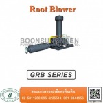 Boonsungnoen Pump & Valve (Thailand) Co Ltd