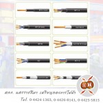 สายไฟบ้าน สายไฟโรงงาน ราคาส่ง - ร้านขายอุปกรณ์ไฟฟ้า โคราช - นครราชสีมาเหรียญทองการไฟฟ้า