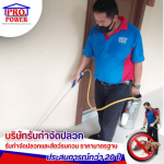 บริษัทรับกำจัดมด แมลงสาบและหนู ศรีราชา พัทยา สัตหีบ - บริษัทกำจัดปลวก กำจัดแมลง พัทยา ชลบุรี  ระยอง