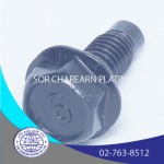 Sor Charearn Plating Co., Ltd.