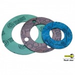 Rayong Industrial Gasket - Tech Vice Co., Ltd.