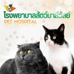 โรงพยาบาลสัตว์ย่านรังสิต - โรงพยาบาลสัตว์มาลีวัลย์ รังสิต คลองสอง