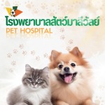 โรงพยาบาลสัตว์ใกล้ฉัน - โรงพยาบาลสัตว์มาลีวัลย์ รังสิต คลองสอง