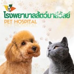 โรงพยาบาลทำหมันหมาแมว ใกล้ฉัน - โรงพยาบาลสัตว์มาลีวัลย์ รังสิต คลองสอง