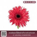 พวงหรีดส่งด่วน - ​ลีน่า ฟลาวเวอร์(Leena Flowers Shop)