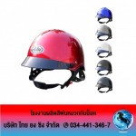 Thai Yong Hsing Co., Ltd. 