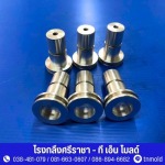 TN Mold Precise Co Ltd