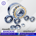 Ball bearing supplier, including rare ball bearings, in Nakhon Pathom.