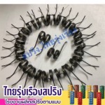 Thai Rungrueng Spring Factory