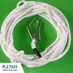 P J Tem Co., Ltd.