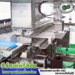 Wiwat Precision Co Ltd